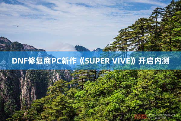 DNF修复商PC新作《SUPER VIVE》开启内测